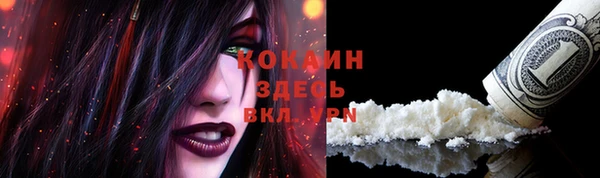 стафф Гусь-Хрустальный