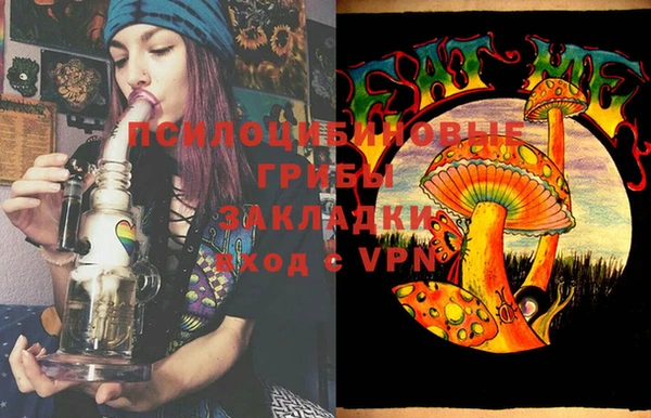 марки lsd Гусиноозёрск
